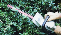 bush + chainsaw