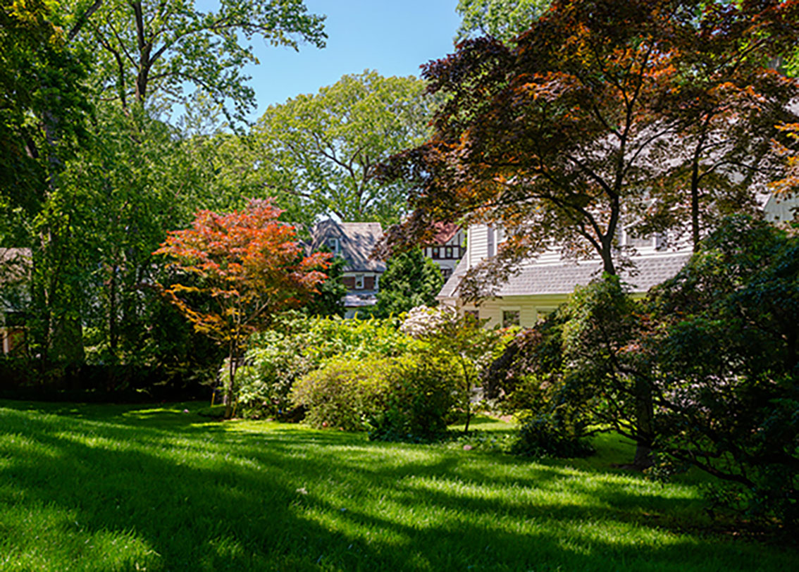 garden with trees